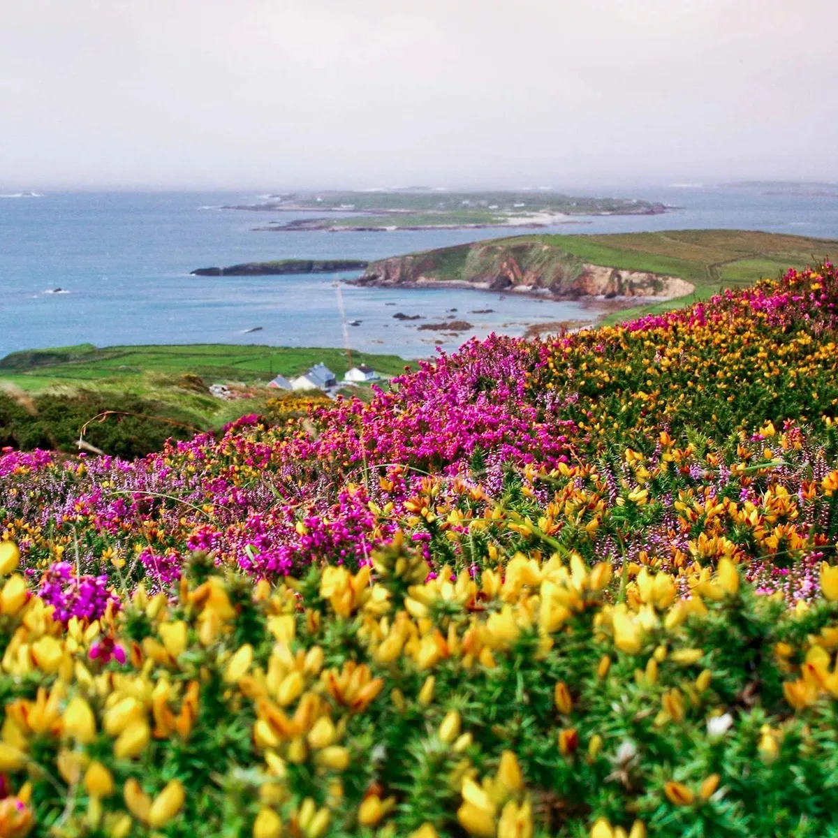 Amazing Ireland
