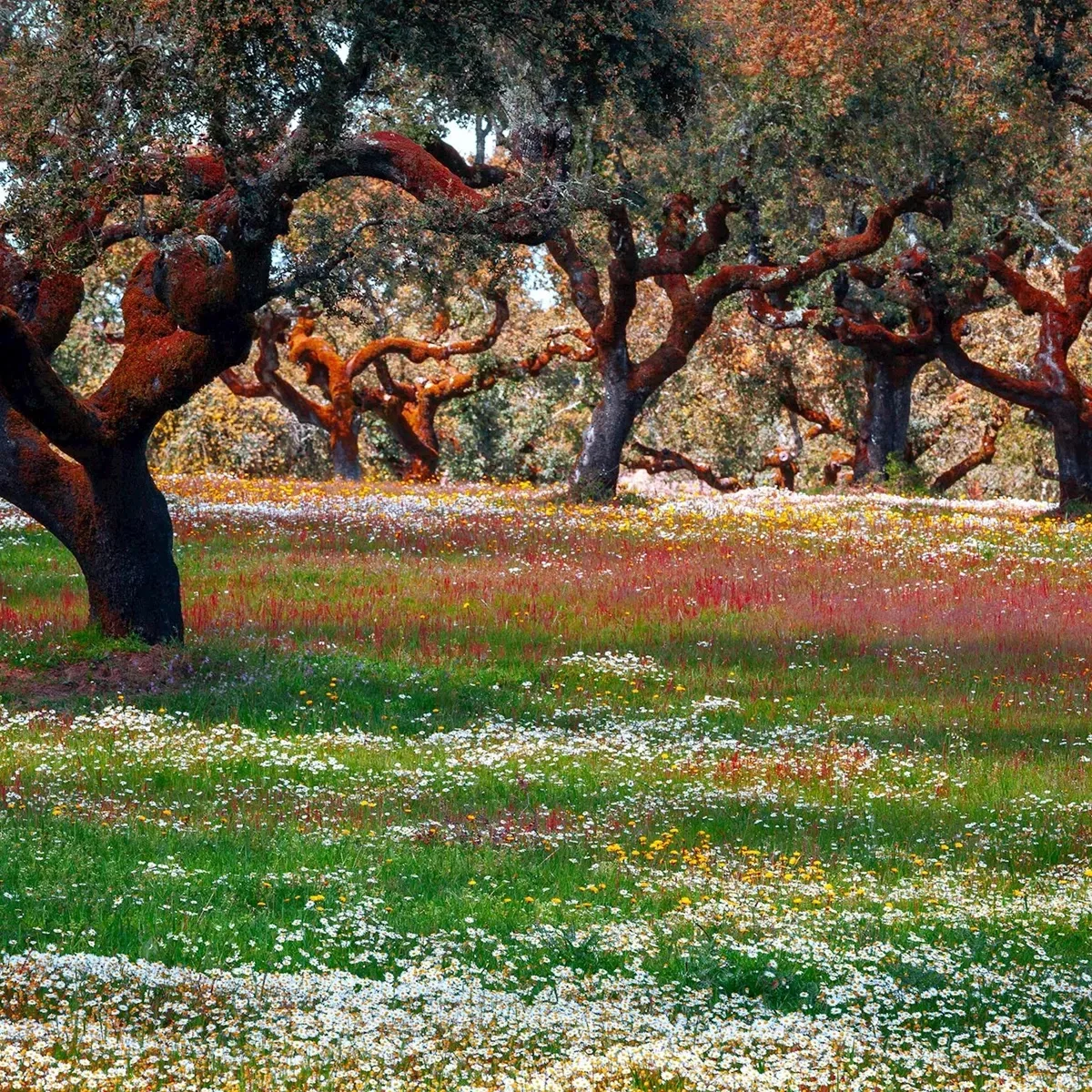 Treasures of Spain & Portugal