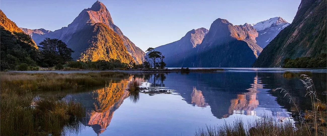 New Zealand Wonderland